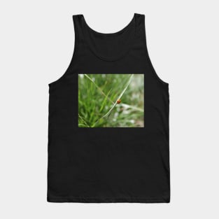 Lucky Ladybug in the grass Tank Top